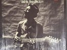 HOUND DOG TAYLOR & HOUSEROCKERS Self Titled ALLIGATOR 4701 LP Near Mint