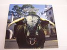 Swervedriver Mezcal Head Autogrphed, Signed Copy LP Vinyl
