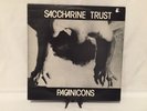 Saccharine Trust: Paganicons 1981 STT Records 12'' EP SST-006 (Rare)