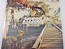 Gregg Allman - Southern Blood - NEW Gatefold 12