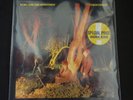 Echo And The Bunnymen 