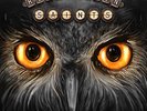 Revolution Saints-Light In The Dark (Ltd. Vinyl Edition)  VINYL NEW