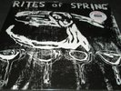RITES OF SPRING (LP) (high quality reissue on Dischord - remastered) (Fugazi)