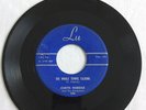Rare Rockabilly CURTIS HOBOCK The Whole Towns Talking / Do You Think  LU Records