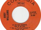 Andy Williams It,s The Most Wonderful Time Of The Year
