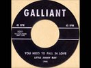 LITTLE JIMMY RAY.YOU NEED TO FALL IN LOVE/MAKE HER MINE.POPCORN.SOUL