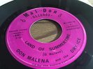 DON MALENA & THE DRY ICE land of summertime US PSYCH FUZZ GARAGE mod 45