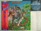 SAVOY BROWN SKIN 'N' BONE / JAPAN OBI