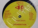 PREMONITION-DEEP EYES ON INSIGHT INTERNATIONAL RARE PRIVATE MODERN SOUL 12