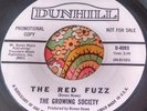 Wild Mod Garage Psych Halloween Instro 45 Growing Society The Red Fuzz NM HEAR