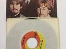 The Beatles Hello Goodbye/I Am The Walrus Picture Sleeve 7