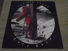 Kate Bush  The Red Shoes EMD 1047 UK LP 1st Press 1993 EMI Vinyl GB