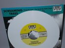 Screaming Trees Change Has Come WHITE VINYL Sub Pop RARE Mark Lanegan Nirvana
