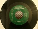 The dwellers rare 1958 doo wop 45 oh sweetie oasis 101 Toledo Ohio