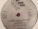 COOL-NOTES - I FORGOT HOW TO LOVE YOU ( 7
