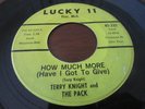 TERRY KNIGHT AND THE PACK MICHIGAN GARAGE LUCKY 11 HOW MUCH MORE /I'VE BEEN TOLD