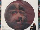 WARREN ZEVON Werewolves Of London 12