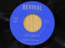 Shirley Ann Lee 45 I CAN'T GIVE UP / HOW CAN I LOSE   VG to VG+/VG++ Detroit