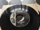 Donald Jenkins &  the delighters  somebody help me  (Cortland records)
