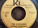 Catalinas RIK 113-64 