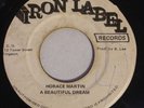HORACE MARTIN - A BEAUTIFUL DREAM - IRON LABEL ( VERY RARE ROOTS 7 )