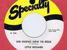 Little Richard 45 She Knows How To Rock 1958 Obscure Rocker NM Specialty 652
