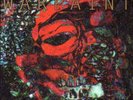 Warpaint-The Fool  VINYL NEW