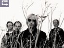 TOM PETTY/TOM PETTY & THE HEARTBREAKERS ECHO NEW VINYL