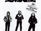 BUDGIE (METAL) IF SWALLOWED DO NOT INDUCE VOMITING NEW VINYL