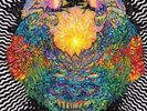 MEATBODIES MEATBODIES [LP] NEW VINYL