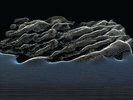 THE ALBUM LEAF BETWEEN WAVES [LP] NEW VINYL
