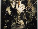 (o) Fields Of The Nephilim - Elizium (Erstauflage SPV 1990) [EX/EX+]