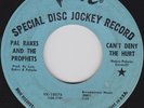 PAL RAKES AND THE PROPHETS - CANT DENY THE HURT - VERVE DEMO  - 60's
