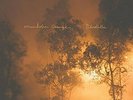 MANDOLIN ORANGE BLINDFALLER NEW VINYL