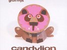 GRUFF RHYS CANDYLION NEW VINYL