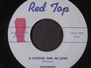 SHARMEERS: A School Girl In Love / You're My Lover 45 (red mark ol)