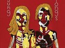 ANIMAL COLLECTIVE SUNG TONGS NEW VINYL