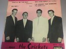 BUDDY HOLLY & THE CRICKETS