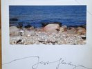 Via Nova Just Floating Private LP Bossa Nova Jazz