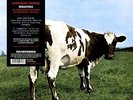 PINK FLOYD Atom Heart Mother - LP / Vinyl - Remastered - 180 g / Gatefold - 2016