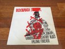 BOXIGANGA - 1974 OZ Acid Folk / Psych LP. COMPANY CAINE / DADDY COOL.