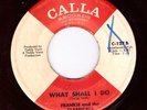 Northern Soul USA Original - Frankie and the Classicals - What Shall I Do ?Hear?