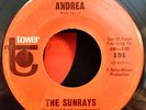 Sunrays Tower 191 