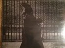 Neil Young After The Gold Rush Sealed Lp First Press Rare Gatefold Vinyl