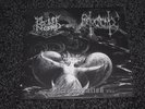 Blut Aus Nord / Reverence  Decorporation 10