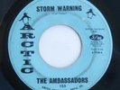 1969 The Ambassadors 45 RPM Record Storm Warning Arctic Philly Soul w/ Leon Huff
