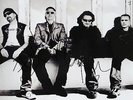 ADAM CLAYTON & THE EDGE signed photo 10x8