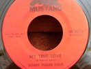 Bobby Fuller Four Mustang 3018 