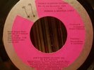 THE ROMAN AND WESTON EXPO 45  sweet modern soul DOUBLE SCORPION
