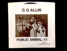 GG ALLIN - Public animal - You Hate me... VINYL 7 